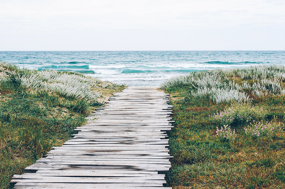 A coastal path leading toward the ocean